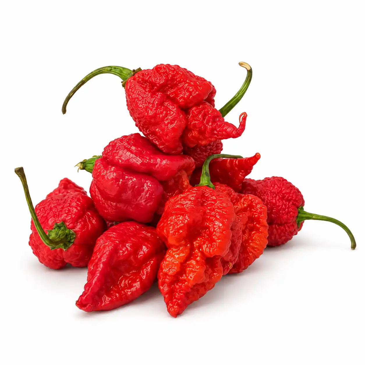 maison-piquante-carolina-reaper-piment-frais-50-g-9-pi-ces image 1
